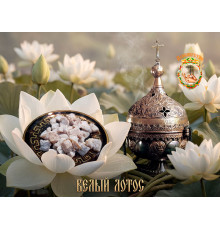 Белый Лотос